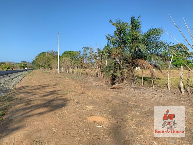 Land for Sale in Los Santos Los Santos 06065